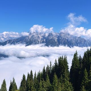 Fotografija s spletne strani Michael Grüll na poti