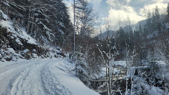 Foto de Daniela Überreich a lo largo del recorrido