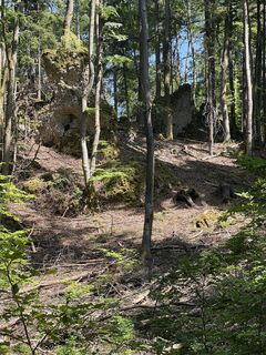 Foto från Harald Mang under resans gång