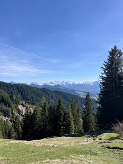 Foto von Aurelian Böhler entlang der Tour
