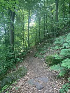 Foto von Kristina  1 entlang der Tour