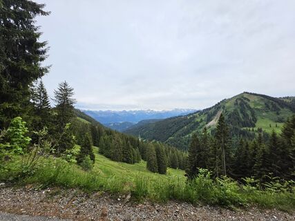 Fotografija s spletne strani Gudrun Lippert na poti
