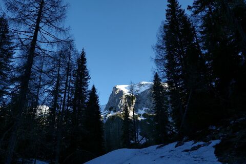Durch den Wald