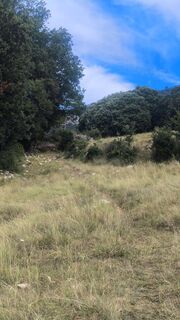Photo de CPQS le long du parcours