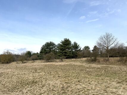 Fotografija s spletne strani Norbert Herbig na poti