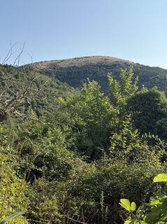 Fotografija s spletne strani Karsten Kümmel na poti