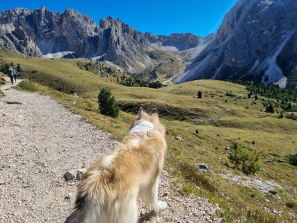 Foto von Michael Sparlund entlang der Tour