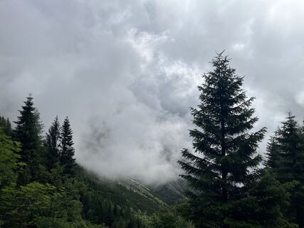 Fotografija s spletne strani Stefan Otto na poti