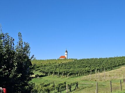 Fotografija s spletne strani Hertha 1 na poti