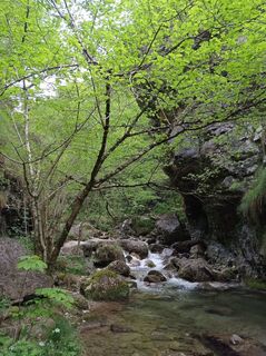 Foto de Aner a lo largo del recorrido