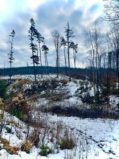 Foto de Kellner Heidi a lo largo del recorrido