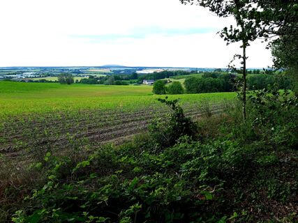 Kranichau in Mügeln