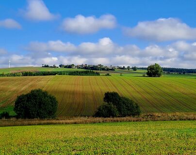 Foto von zirberl entlang der Tour