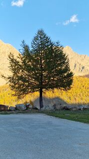Fotografia z Fabrizi Mellano na trase