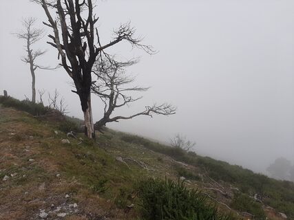 Foto von Niek Abbes entlang der Tour