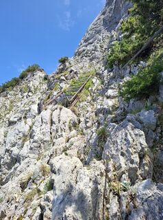 Photo de Michael Putz le long du parcours