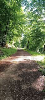 Fotografija s spletne strani Megapaulevans na poti