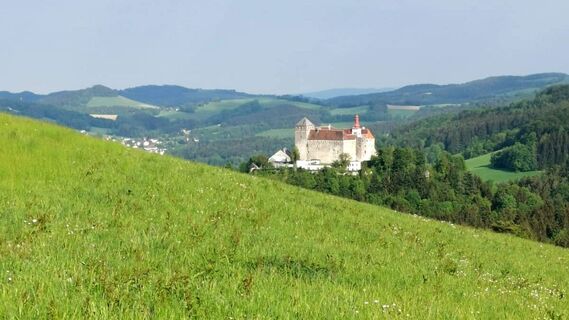 Blick auf Schloss Krumbach