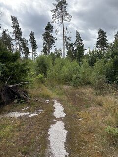 Photo de Jako Koel le long du parcours