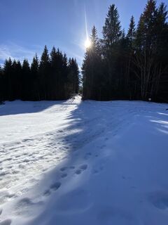 Foto de Sven Krieblin a lo largo del recorrido