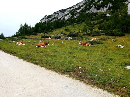 Foto von Antonietta Havasi entlang der Tour