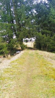 Foto de ukawe a lo largo del recorrido