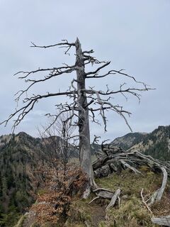Foto von Ralf Umminger entlang der Tour