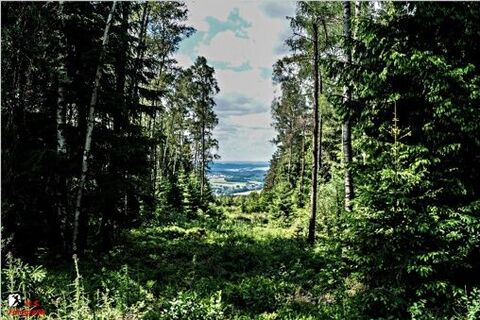Blick vom Hirschenstein auf das Kirchberger Granitgebiet
