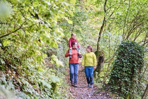 Familie beim Wandern im Wald bei Schöntal