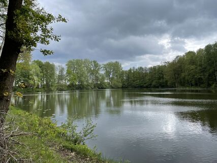 Ziegeleiteich