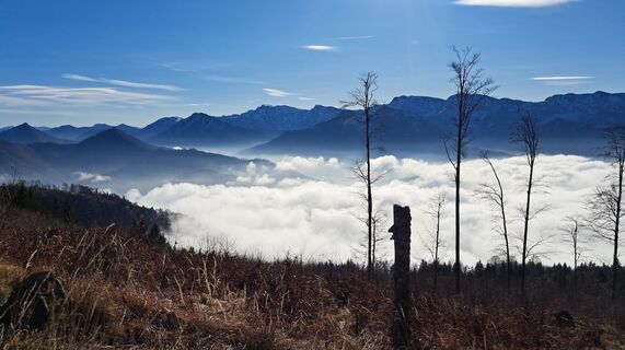 Photo de Erich Plaß le long du parcours