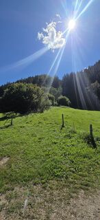 Fotografia z Franz Lammer na trase