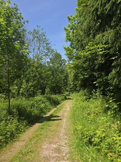 Foto von Michel Kennel entlang der Tour