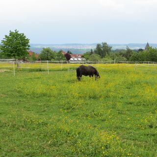 Bei Altburg