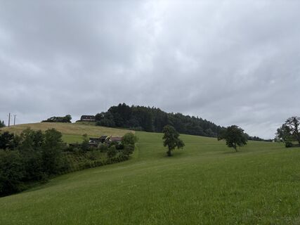 Foto von Moonytiger entlang der Tour