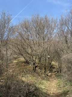 Zdjęcie z Agnese Martinelli wzdłuż trasy