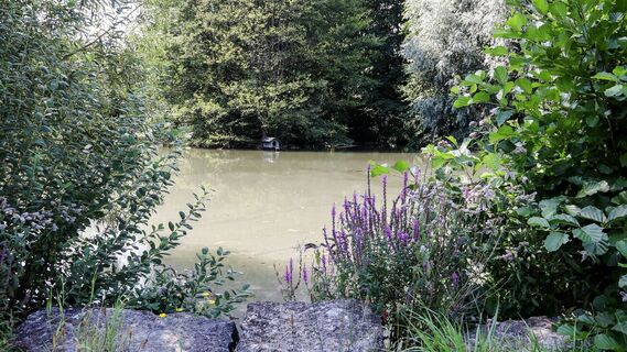 Bretten-Bauerbach