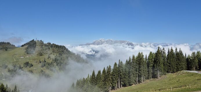 Fotografija s spletne strani Bruunoo na poti