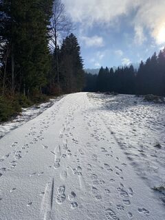 Foto von Fábi entlang der Tour