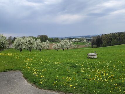 Photo de Silvia Jungwirth le long du parcours