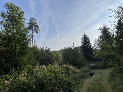 Photo from Patricia Schmale along the tour