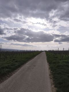 Photo de Peter Wachel le long du parcours