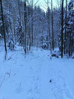 Fotografija s spletne strani Róbert Balogh na poti
