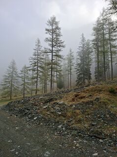 Photo de Silvia Hansmann le long du parcours