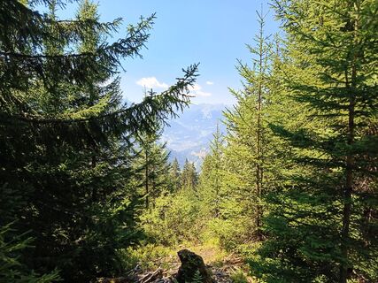 Fotografija s spletne strani Kirsten Genglawski na poti