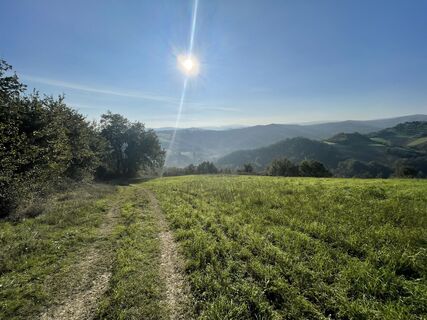 Fotografie z Franz Leitner na trase