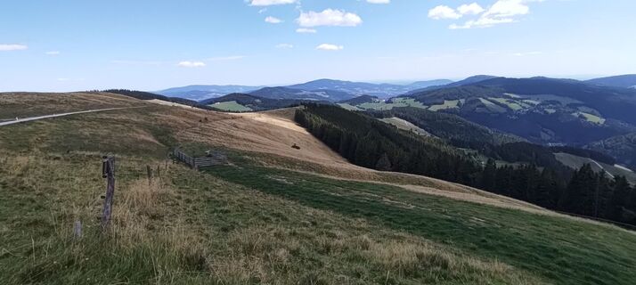 Fotografija s spletne strani wolfkl na poti