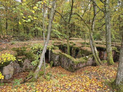 Relikte am ehemaligen Jägerhaus Nordfeld