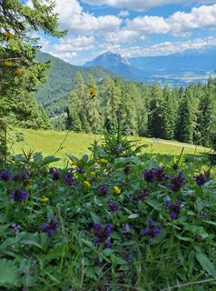 Foto van Dagmar Hofer langs de tour
