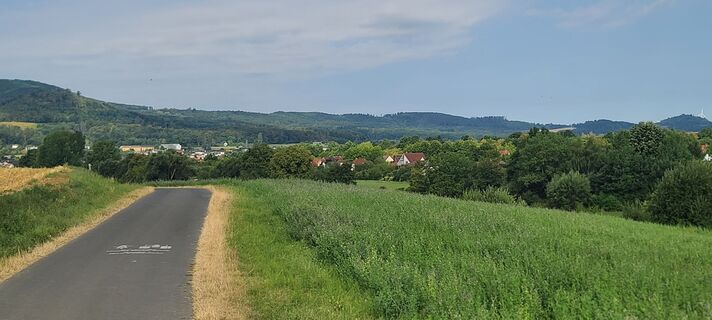 Photo de Wolf le long du parcours